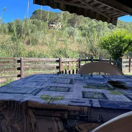 Βίλα Big Zan01/02 · 4 Bedrooms · 16 Beds · 4 B *